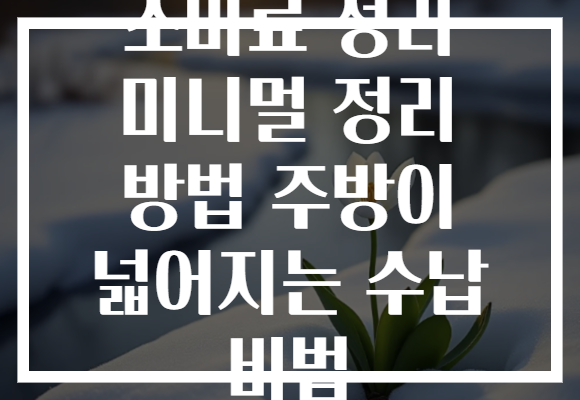 조미료 정리 미니멀 정리 방법 주방이 넓어지는 수납 비법