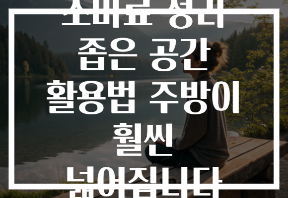 조미료 정리 좁은 공간 활용법 주방이 훨씬 넓어집니다 조미료 정리 좁은 공간 활용법 주방이 훨씬 넓어집니다