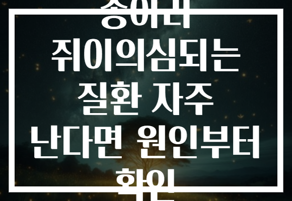 종아리 쥐이의심되는 질환 자주 난다면 원인부터 확인 종아리 쥐이의심되는 질환 자주 난다면 원인부터 확인