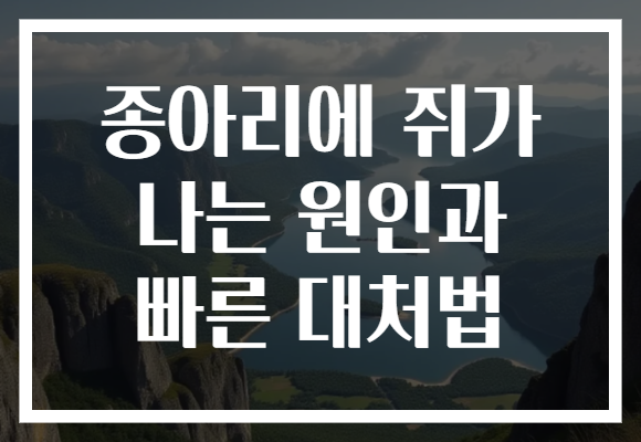 종아리에 쥐가 나는 원인과 빠른 대처법 종아리에 쥐가 나는 원인과 빠른 대처법