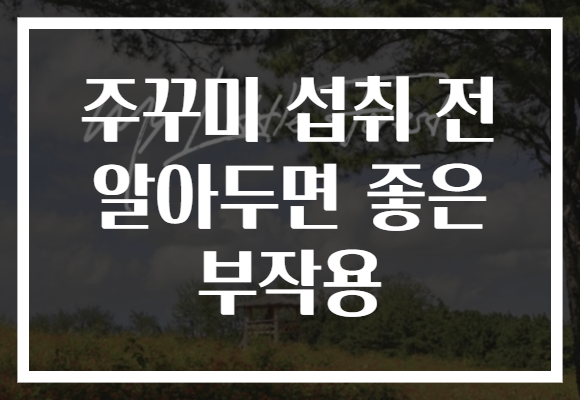 주꾸미 섭취 전 알아두면 좋은 부작용
