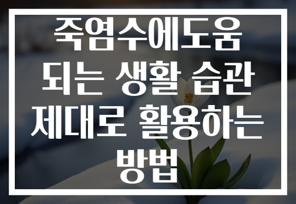 죽염수에도움 되는 생활 습관 제대로 활용하는 방법
