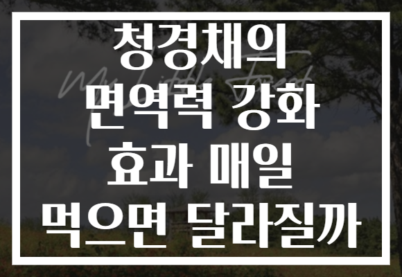 청경채의 면역력 강화 효과 매일 먹으면 달라질까 청경채의 면역력 강화 효과 매일 먹으면 달라질까