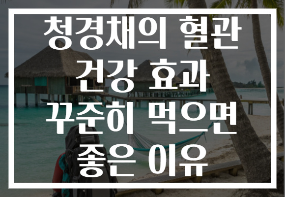 청경채의 혈관 건강 효과 꾸준히 먹으면 좋은 이유 청경채의 혈관 건강 효과 꾸준히 먹으면 좋은 이유