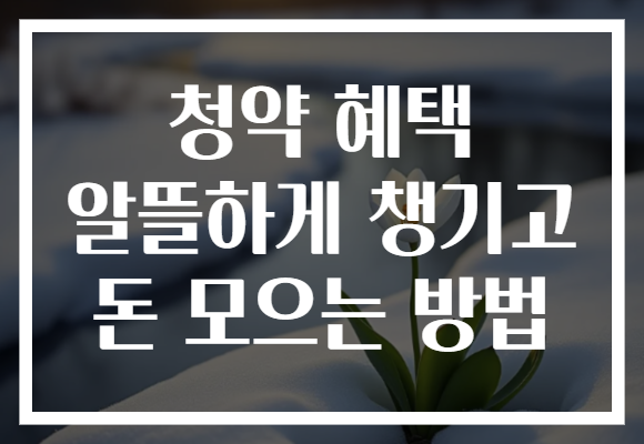 청약 혜택 알뜰하게 챙기고 돈 모으는 방법