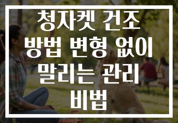 청자켓 건조 방법 변형 없이 말리는 관리 비법