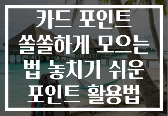 카드 포인트 쏠쏠하게 모으는 법 놓치기 쉬운 포인트 활용법