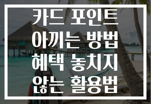 카드 포인트 아끼는 방법 혜택 놓치지 않는 활용법 카드 포인트 아끼는 방법 혜택 놓치지 않는 활용법