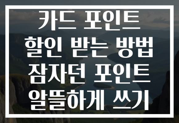 카드 포인트 할인 받는 방법 잠자던 포인트 알뜰하게 쓰기 카드 포인트 할인 받는 방법 잠자던 포인트 알뜰하게 쓰기