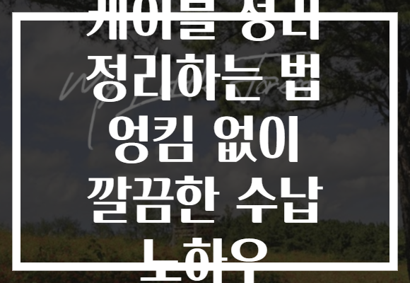 케이블 정리 정리하는 법 엉킴 없이 깔끔한 수납 노하우 케이블 정리 정리하는 법 엉킴 없이 깔끔한 수납 노하우