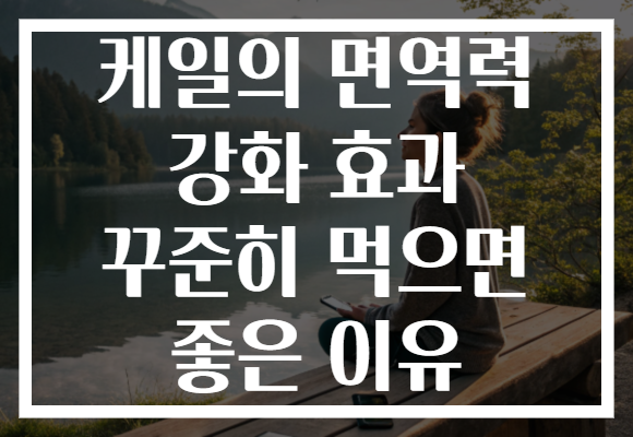 케일의 면역력 강화 효과 꾸준히 먹으면 좋은 이유