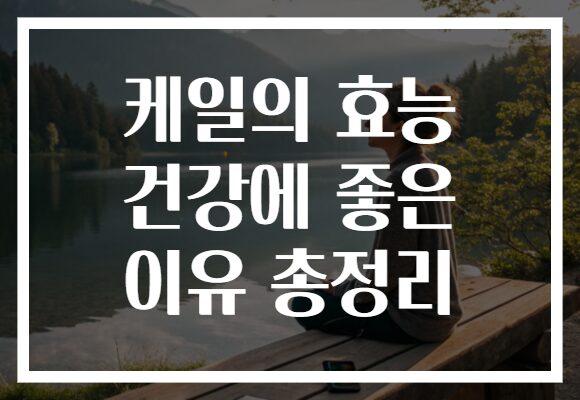 케일의 효능 건강에 좋은 이유 총정리