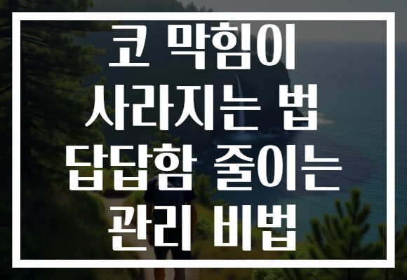 코 막힘이 사라지는 법 답답함 줄이는 관리 비법 코 막힘이 사라지는 법 답답함 줄이는 관리 비법