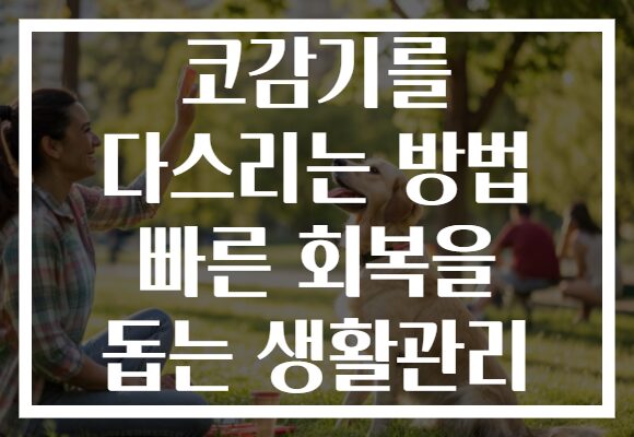 코감기를 다스리는 방법 빠른 회복을 돕는 생활관리