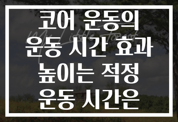 코어 운동의 운동 시간 효과 높이는 적정 운동 시간은 코어 운동의 운동 시간 효과 높이는 적정 운동 시간은
