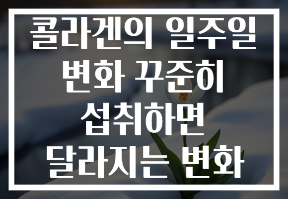 콜라겐의 일주일 변화 꾸준히 섭취하면 달라지는 변화