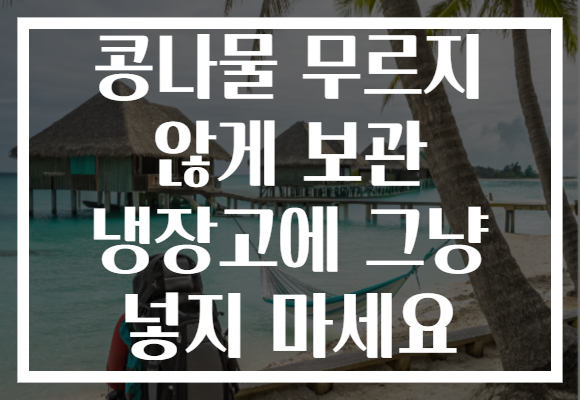 콩나물 무르지 않게 보관 냉장고에 그냥 넣지 마세요 콩나물 무르지 않게 보관 냉장고에 그냥 넣지 마세요