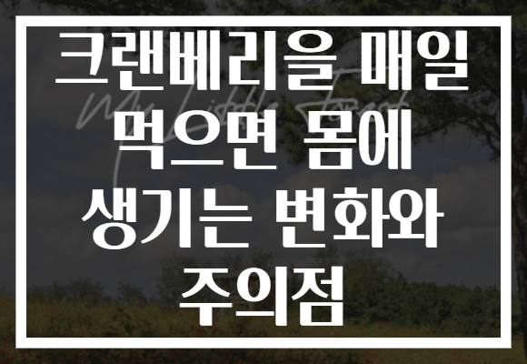 크랜베리을 매일 먹으면 몸에 생기는 변화와 주의점 크랜베리을 매일 먹으면 몸에 생기는 변화와 주의점