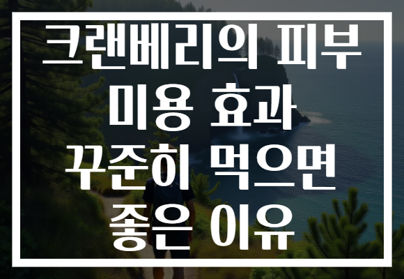 크랜베리의 피부 미용 효과 꾸준히 먹으면 좋은 이유 크랜베리의 피부 미용 효과 꾸준히 먹으면 좋은 이유