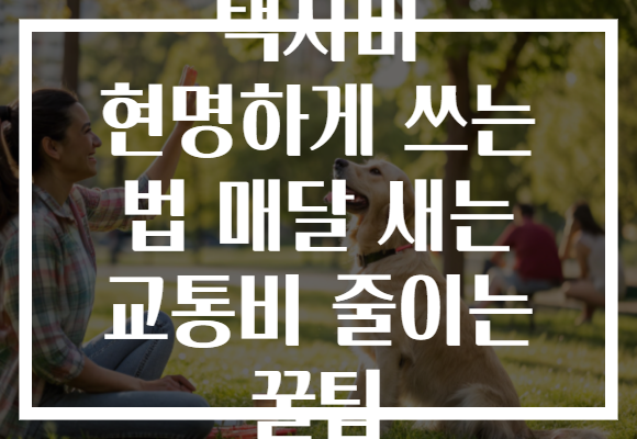 택시비 현명하게 쓰는 법 매달 새는 교통비 줄이는 꿀팁 택시비 현명하게 쓰는 법 매달 새는 교통비 줄이는 꿀팁