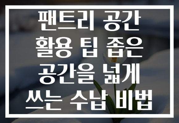팬트리 공간 활용 팁 좁은 공간을 넓게 쓰는 수납 비법 팬트리 공간 활용 팁 좁은 공간을 넓게 쓰는 수납 비법
