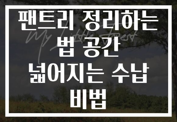 팬트리 정리하는 법 공간 넓어지는 수납 비법 팬트리 정리하는 법 공간 넓어지는 수납 비법