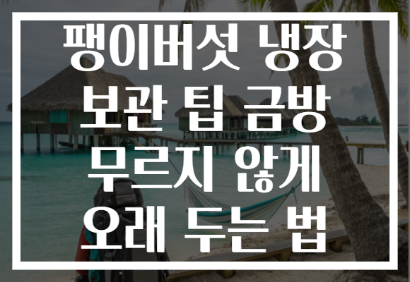 팽이버섯 냉장 보관 팁 금방 무르지 않게 오래 두는 법 팽이버섯 냉장 보관 팁 금방 무르지 않게 오래 두는 법