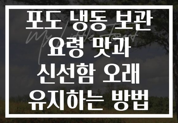 포도 냉동 보관 요령 맛과 신선함 오래 유지하는 방법 포도 냉동 보관 요령 맛과 신선함 오래 유지하는 방법