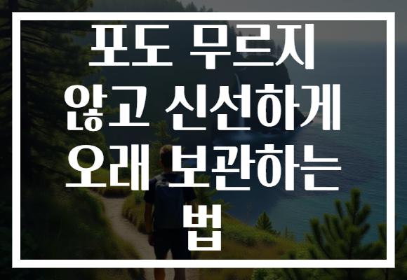 포도 무르지 않고 신선하게 오래 보관하는 법
