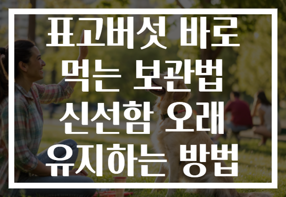 표고버섯 바로 먹는 보관법 신선함 오래 유지하는 방법 표고버섯 바로 먹는 보관법 신선함 오래 유지하는 방법