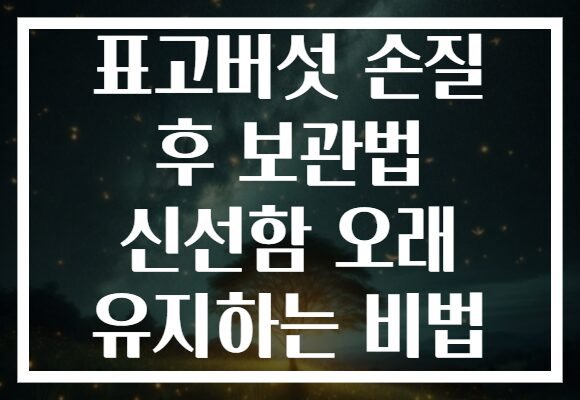 표고버섯 손질 후 보관법 신선함 오래 유지하는 비법