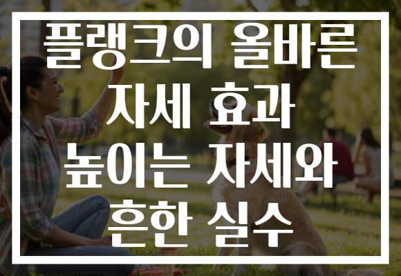 플랭크의 올바른 자세 효과 높이는 자세와 흔한 실수 플랭크의 올바른 자세 효과 높이는 자세와 흔한 실수