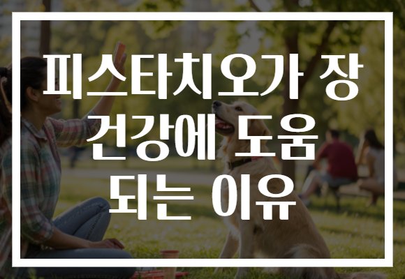 피스타치오가 장 건강에 도움 되는 이유 피스타치오가 장 건강에 도움 되는 이유
