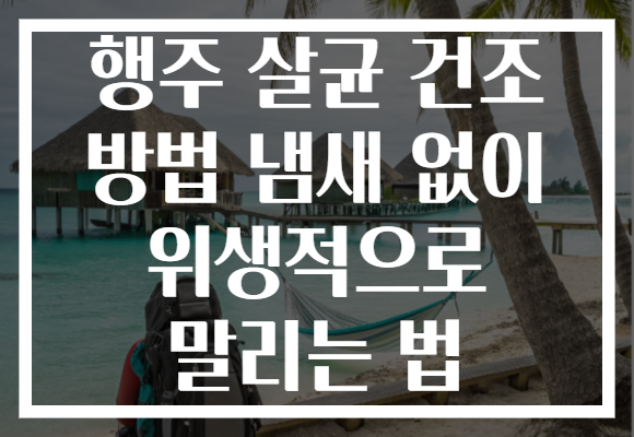 행주 살균 건조 방법 냄새 없이 위생적으로 말리는 법 행주 살균 건조 방법 냄새 없이 위생적으로 말리는 법