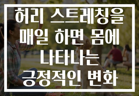 허리 스트레칭을 매일 하면 몸에 나타나는 긍정적인 변화 허리 스트레칭을 매일 하면 몸에 나타나는 긍정적인 변화