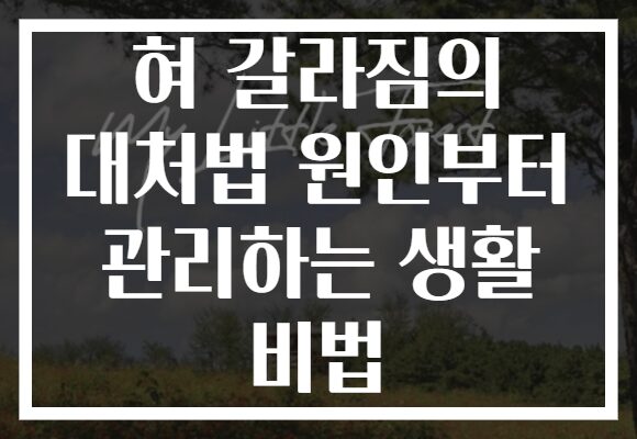 혀 갈라짐의 대처법 원인부터 관리하는 생활 비법