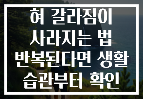 혀 갈라짐이 사라지는 법 반복된다면 생활 습관부터 확인 혀 갈라짐이 사라지는 법 반복된다면 생활 습관부터 확인