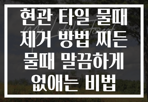 현관 타일 물때 제거 방법 찌든 물때 말끔하게 없애는 비법 현관 타일 물때 제거 방법 찌든 물때 말끔하게 없애는 비법