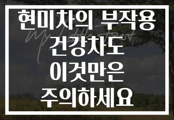 현미차의 부작용 건강차도 이것만은 주의하세요 현미차의 부작용 건강차도 이것만은 주의하세요