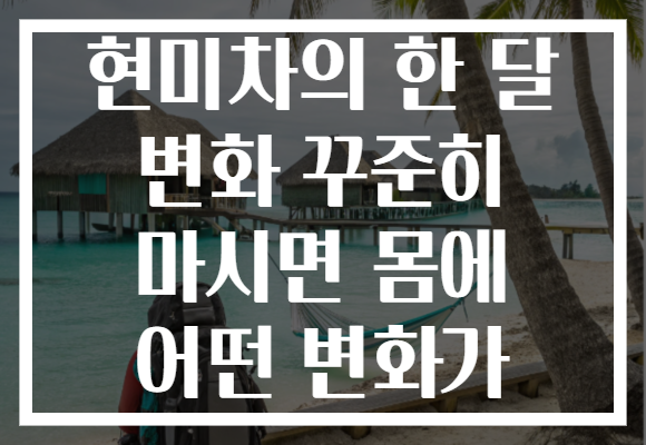 현미차의 한 달 변화 꾸준히 마시면 몸에 어떤 변화가