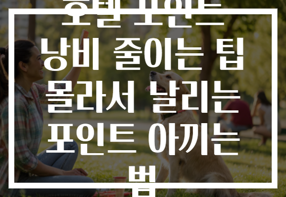 호텔 포인트 낭비 줄이는 팁 몰라서 날리는 포인트 아끼는 법 호텔 포인트 낭비 줄이는 팁 몰라서 날리는 포인트 아끼는 법