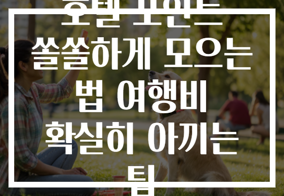 호텔 포인트 쏠쏠하게 모으는 법 여행비 확실히 아끼는 팁