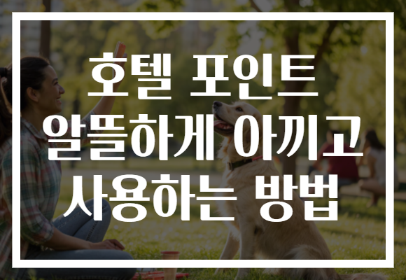 호텔 포인트 알뜰하게 아끼고 사용하는 방법 호텔 포인트 알뜰하게 아끼고 사용하는 방법