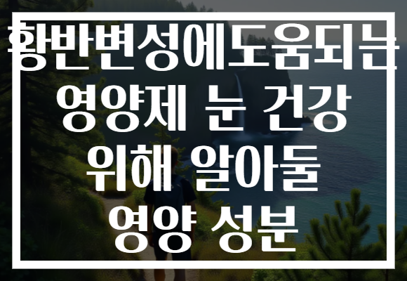 황반변성에도움되는 영양제 눈 건강 위해 알아둘 영양 성분 황반변성에도움되는 영양제 눈 건강 위해 알아둘 영양 성분