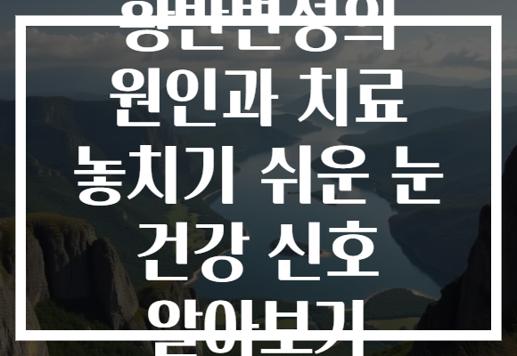 황반변성의 원인과 치료 놓치기 쉬운 눈 건강 신호 알아보기 황반변성의 원인과 치료 놓치기 쉬운 눈 건강 신호 알아보기