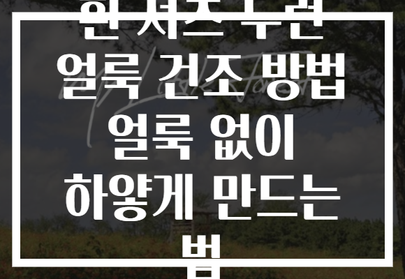 흰 셔츠 누런 얼룩 건조 방법 얼룩 없이 하얗게 만드는 법