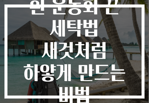 흰 운동화 끈 세탁법 새것처럼 하얗게 만드는 비법