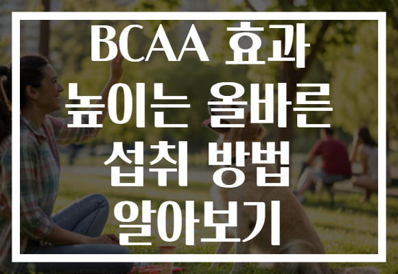 BCAA 효과 높이는 올바른 섭취 방법 알아보기