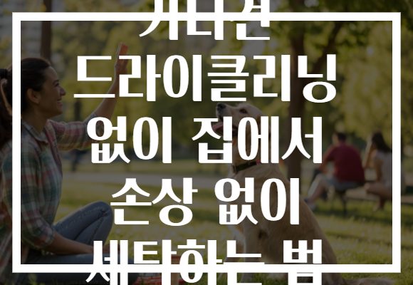 가디건 드라이클리닝 없이 집에서 손상 없이 세탁하는 법