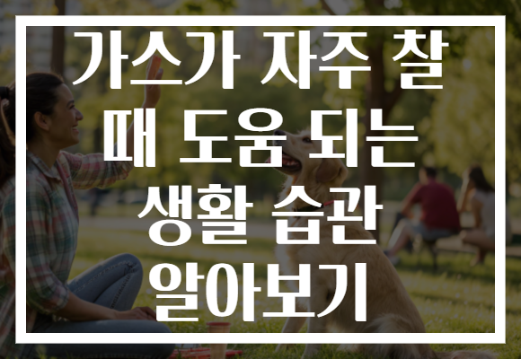 가스가 자주 찰 때 도움 되는 생활 습관 알아보기 가스가 자주 찰 때 도움 되는 생활 습관 알아보기